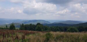 Bieszczady