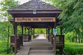 Bialowieza National Park