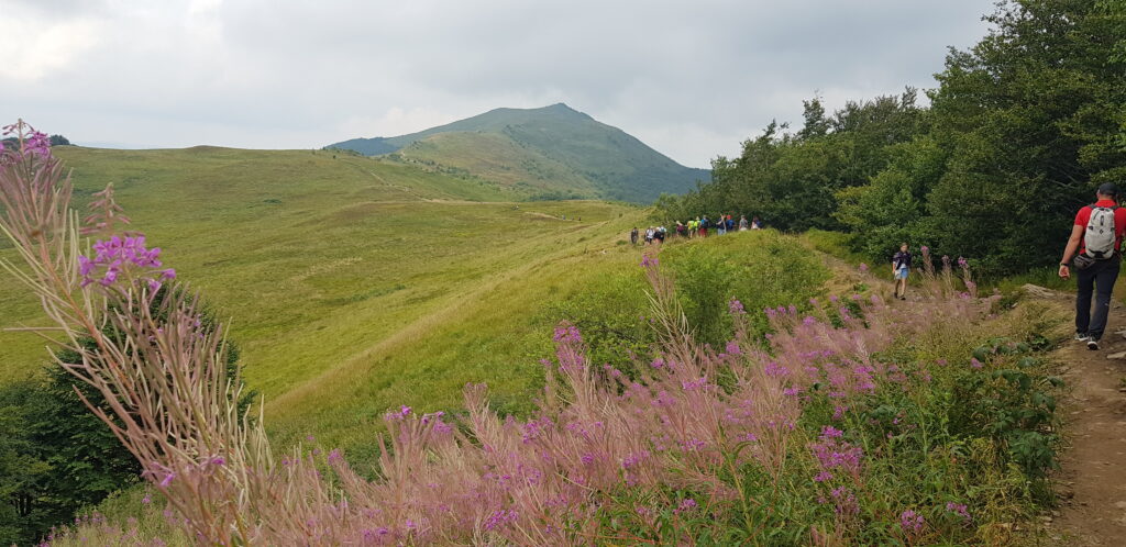 Bieszczady mountains